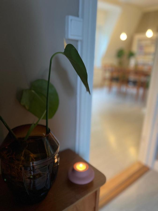 Charming Apartment In Alesund Center With Free Parking Luaran gambar